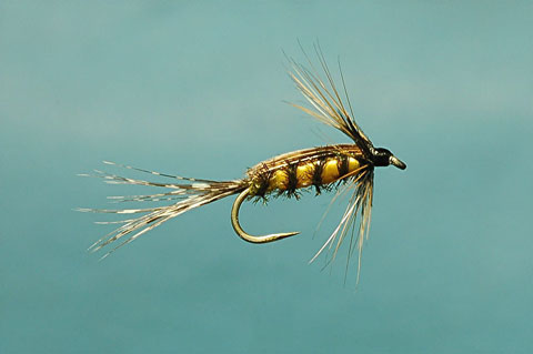 tellico nymph